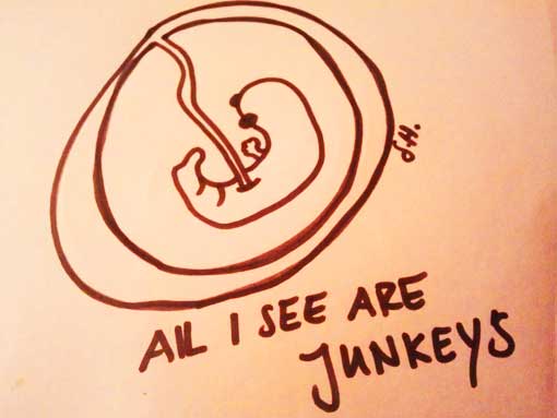 all-i-see-are-junkeys