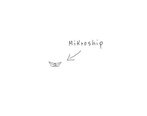 mikroship