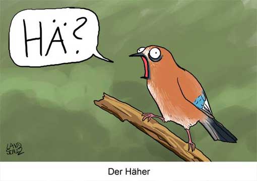 dorthe-landschulz-haeher